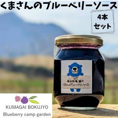 ふるさと納税 由布市 くまさんのブルーベリーソース4個セット
