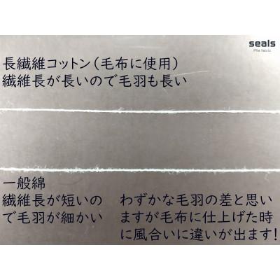 ふるさと納税 橋本市 綿100%綿毛布 厚手タイプ 生成 |  | 02