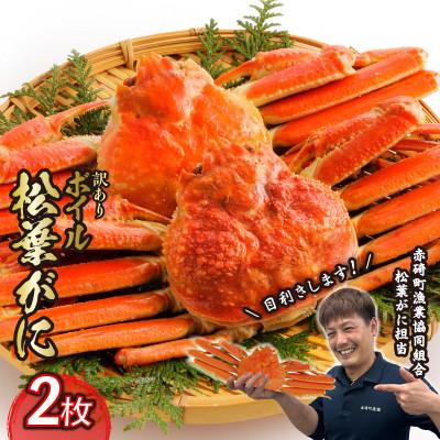 ふるさと納税 琴浦町 『鳥取の冬の味覚』[訳あり]ボイル 松葉がに 2枚(2025年11月中旬〜12月中旬発送分)