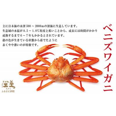 ふるさと納税 江差町 『北海道北前蟹』北海道日本海産 紅ずわいがに肩付き脚[殻付き]4肩　約1kg |  | 02