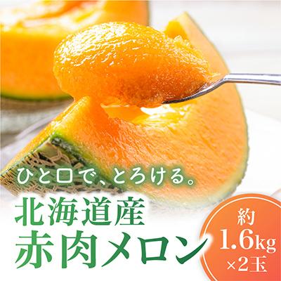 ふるさと納税 旭川市 [2026年発送]北海道産赤肉メロン約1.6kg×2玉_02061