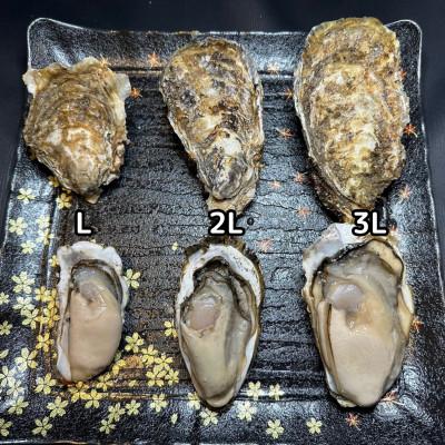 ふるさと納税 厚岸町 北海道厚岸産殻牡蠣【マルえもん 3Lサイズ　40個入り】 牡蠣ナイフ&軍手付き_2
