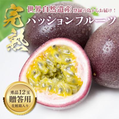 ふるさと納税 奄美市 2027年発送[奄美大島産パッションフルーツ]贈答用化粧箱入り約1kg(12玉入り)