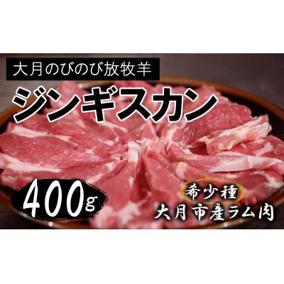 ふるさと納税 大月市 [大月のびの放牧羊]ジンギスカンラム肉 400g(200g×2パック)
