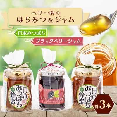 ふるさと納税 防府市 海の見える小さなベリー園の日本みつばちの「ハチミツ」[非加熱]とブラックベリージャムのセット