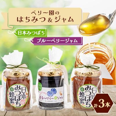 ふるさと納税 防府市 日本みつばちの「ハチミツ」[非加熱]とハチミツのみで加糖したブルーベリージャムのセット