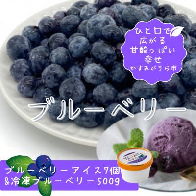ふるさと納税 かすみがうら市 『ブルーベリーやすだ』の濃厚ブルーベリーアイス7個 &amp; 冷凍ブルーベリー500gのセット