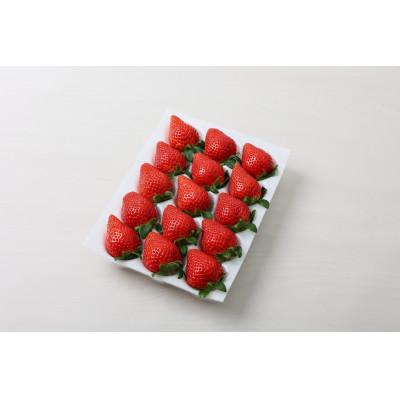 ふるさと納税 伊勢崎市 【いちご総合大賞】やよいひめ　約400g |  | 01