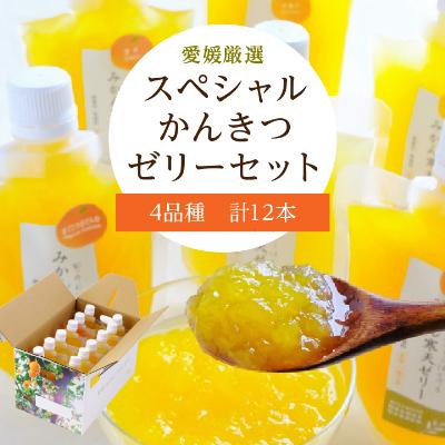 ふるさと納税 八幡浜市 愛媛選り抜き!スペシャルかんきつゼリー12本セット │ みかん 不知火 甘平 清見[C25-152]
