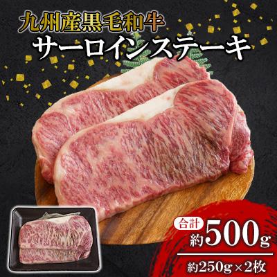 ふるさと納税 北九州市 [九州産黒毛和牛]サーロインステーキ 約500g (約250g×2枚)