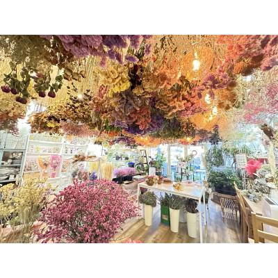 ふるさと納税 直方市 ドライフラワーお任せスワッグ赤/ピンク系_2