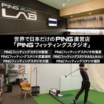 ふるさと納税 戸田市 【PING】(ピンゴルフ)　ゴルフクラブ購入補助券(10,000円分) |  | 01