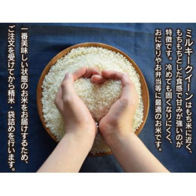ふるさと納税 鶴岡市 【令和6年産】山形県庄内産 小池半左衛門のお米 ミルキークイーン 無洗米 5kg×2袋 計10kg |  | 01