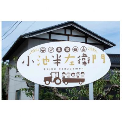 ふるさと納税 鶴岡市 【令和6年産】山形県庄内産 小池半左衛門のお米 ミルキークイーン 無洗米 5kg×2袋 計10kg |  | 02