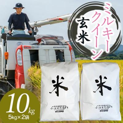 ふるさと納税 鶴岡市 【令和6年産】山形県庄内産 小池半左衛門のお米 ミルキークイーン【玄米】 5kg×2袋 計10kg | 