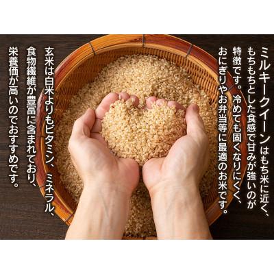 ふるさと納税 鶴岡市 【令和6年産】山形県庄内産 小池半左衛門のお米 ミルキークイーン【玄米】 5kg×2袋 計10kg |  | 01