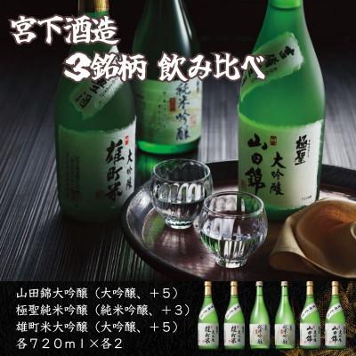 ふるさと納税 岡山市 宮下酒造の大吟醸・純米大吟醸3種飲み比べセット 720ml×6本
