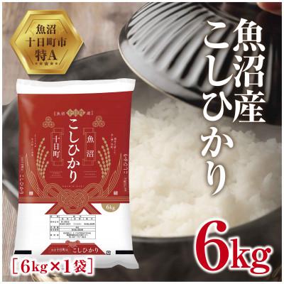 ふるさと納税 十日町市 新潟県 魚沼産 こしひかり 6kg 精米 (お米の美味しい炊き方ガイド付き)