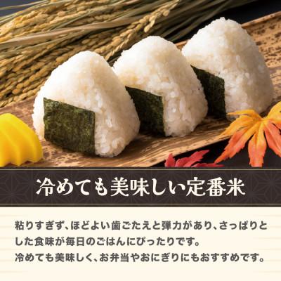 ふるさと納税 尾花沢市 令和7年産 玄米 はえぬき 30kg 山形県尾花沢市産 ja-hagxa30の画像