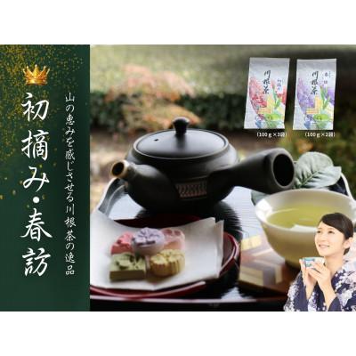 ふるさと納税 川根本町 相藤園オリジナル 川根茶「こだわりセット」