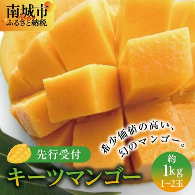 ふるさと納税 南城市 [2026年発送・贈答用]キーツマンゴー約1kg(1〜2玉)