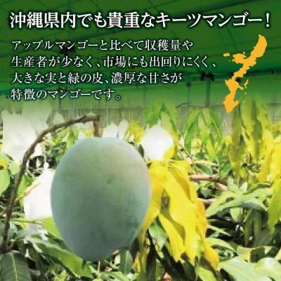 ふるさと納税 南城市 【2027年発送・贈答用】キーツマンゴー約1kg(1〜2玉) |  | 01