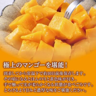 ふるさと納税 南城市 【2027年発送・贈答用】キーツマンゴー約1kg(1〜2玉) |  | 02