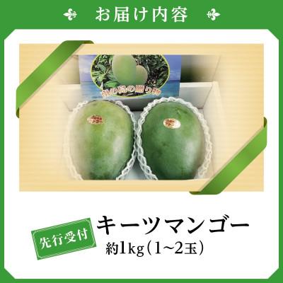 ふるさと納税 南城市 【2027年発送・贈答用】キーツマンゴー約1kg(1〜2玉) |  | 03