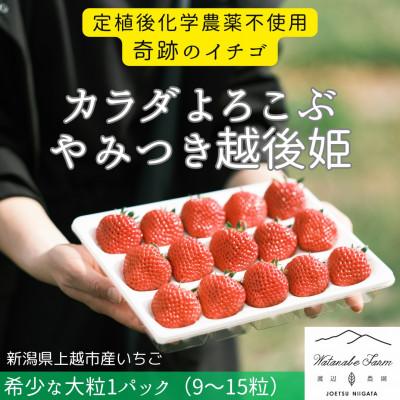 ふるさと納税 上越市 新潟県上越市産 大粒いちご カラダよろこぶ越後姫 約400g×1パック(9から15粒入り)