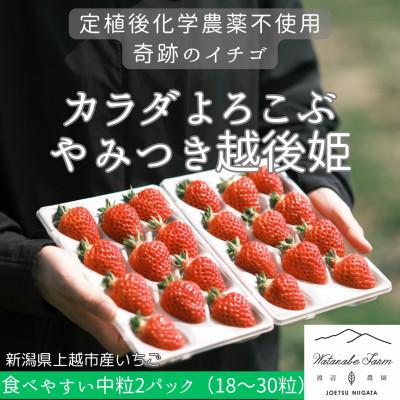ふるさと納税 上越市 新潟県上越市産 中粒 カラダよろこぶ越後姫 約200g×2パック 2026年4月中旬以降発送!