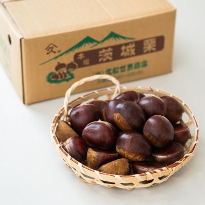 ふるさと納税 かすみがうら市 茨城県かすみがうら市産　熟成倉方栗(生栗)約2kg〈2026年11月中旬より順次発送予定〉 | 