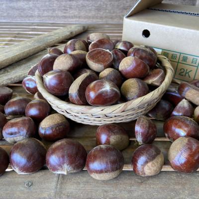 ふるさと納税 かすみがうら市 茨城県かすみがうら市産　熟成倉方栗(生栗)約2kg〈2026年11月中旬より順次発送予定〉 |  | 03