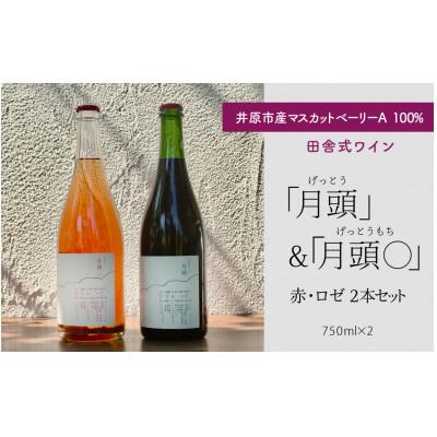 ふるさと納税 井原市 田舎式ワイン「月頭」&amp;「月頭◯」2本セット