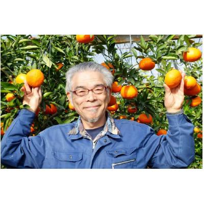 ふるさと納税 唐津市 2026年2月より順次配送 ガブッ! と、果皮も丸ごと食べる 希少高級ミカン 『唐味香』 約5kg