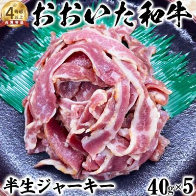 ふるさと納税 杵築市 ニード牧場のおおいた和牛 半生ジャーキー(40g×5)(杵築市)