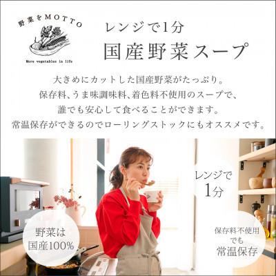 ふるさと納税 静岡市 野菜をMOTTO 国産野菜のレンジカップスープ 9個