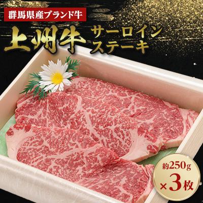 ふるさと納税 榛東村 上州牛サーロインステーキ 約250g×3枚