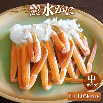ふるさと納税 越前町 [期間限定]≪浜茹で≫ 越前産水がに中サイズ 6肩(1.05kg以上)