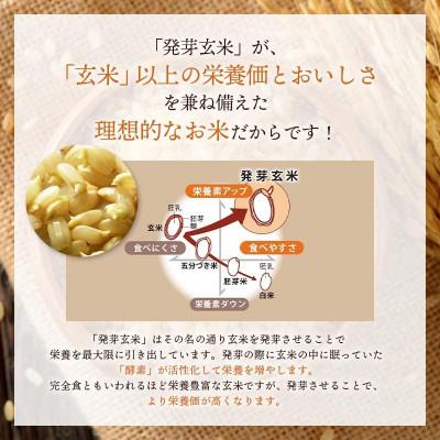 ふるさと納税 九重町 発芽玄米(大分県産ミルキークイーン) 無洗米1.5kg×3袋(4.5kg) 令和7年産 |  | 01
