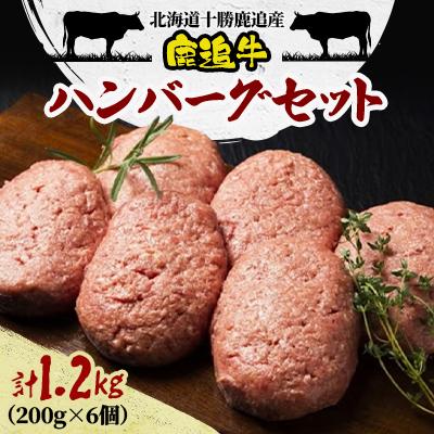ふるさと納税 鹿追町 鹿追牛 ハンバーグセット 200g×6個 計1.2kg 牛肉100% 北海道十勝鹿追産[0117]
