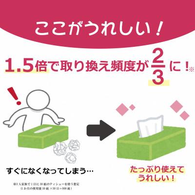 ふるさと納税 福知山市 【ボックスティッシュ】スコッティティシューフラワーボックス250組60箱(1ケース5箱×12パック) |  | 02