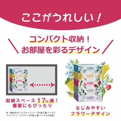 ふるさと納税 福知山市 【ボックスティッシュ】スコッティティシューフラワーボックス250組60箱(1ケース5箱×12パック) |  | 03