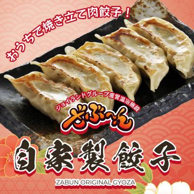 ふるさと納税 沼津市 ざぶ〜んの自家製餃子 50個(1pc/10個入×5pc)
