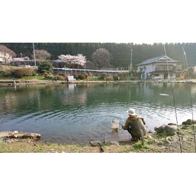 ふるさと納税 矢板市 308Club5回回数券 |  | 01