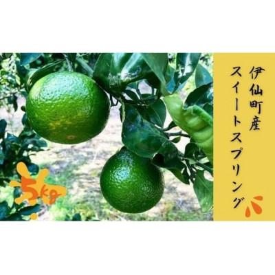 ふるさと納税 伊仙町 清水果樹園のスイートスプリング約5kg