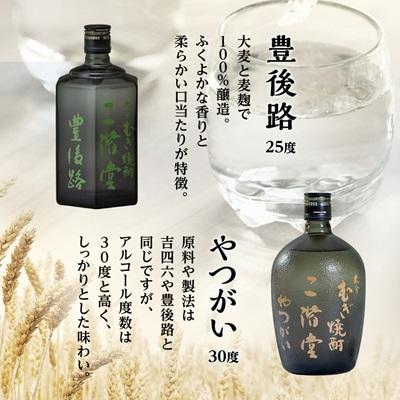 ふるさと納税 日出町 大分むぎ焼酎　二階堂吉四六つぼ・吉四六瓶・豊後路・やつがい(720ml)4本セット |  | 03