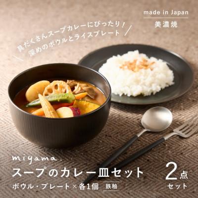 ふるさと納税 瑞浪市 miyama.のカレーのうつわ スープのカレー皿セット 鉄黒釉