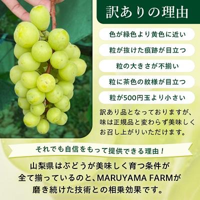 ふるさと納税 山梨市 【先行受付 2026年発送】【訳あり】シャインマスカット 2〜3房 1kg以上 |  | 03