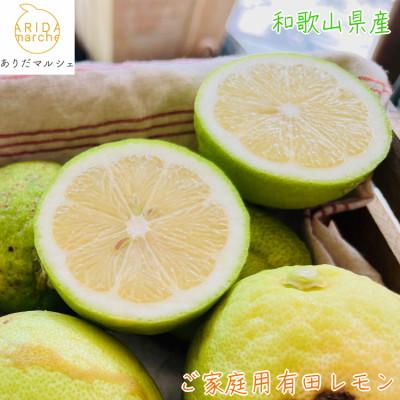 ふるさと納税 湯浅町 [先行受付 9月下旬〜発送]ご家庭用有田レモン約1.5kg [ノーワックス・ノー防腐剤]