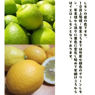 ふるさと納税 湯浅町 ≪先行予約 2026年9月末〜発送≫家庭用有田レモン 1kg【ノーワックス・ノー防腐剤】【訳あり】 |  | 02